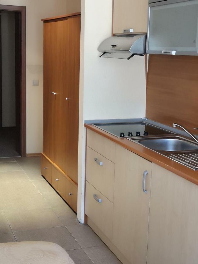 Excellent Studios For Your Vacation-Hotel Villa Park- Borovec Kültér fotó